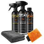 Detailing Combideal Quick Wash Pakket 5-delig voor Eenvoudig Wassen en Sealen met Microvezel Washandschoen en Droogdoek - VCTparts.nl